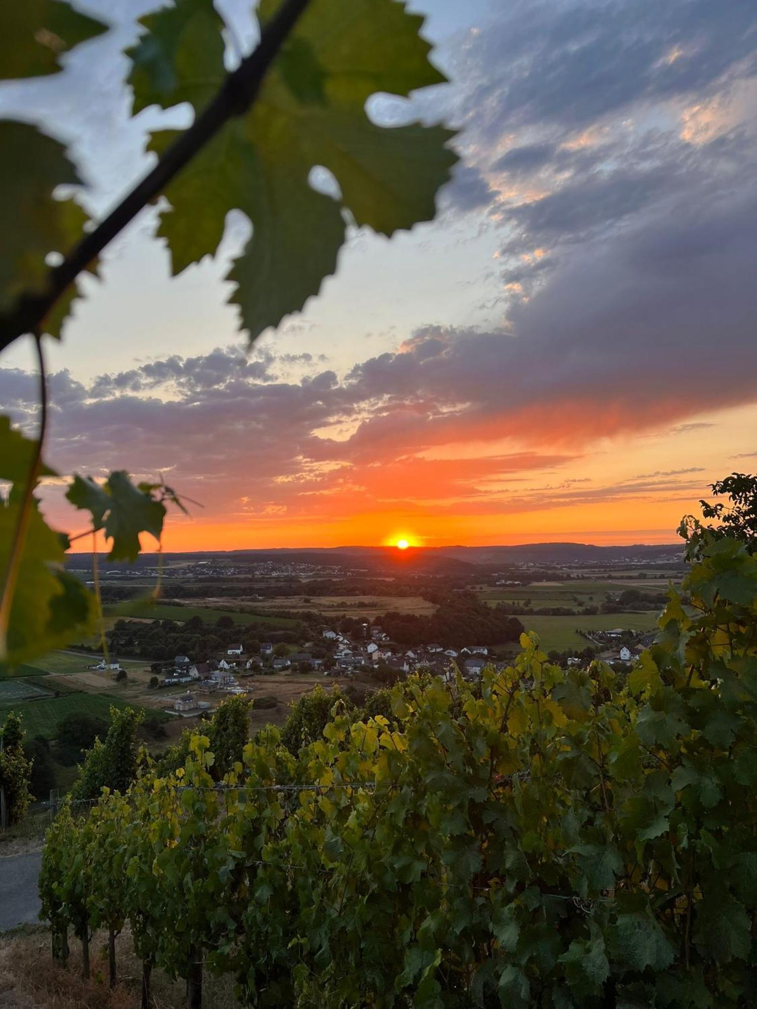Weingut U. Gaestehaus Becker Platten Exterior photo